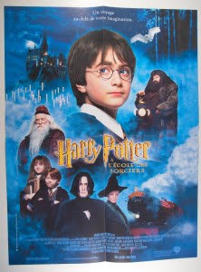 Harry Potter à l'école des sorciers (23)